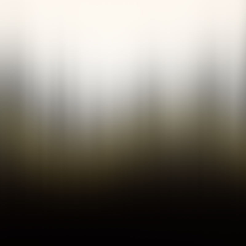 NEBLINA NO BOSQUE