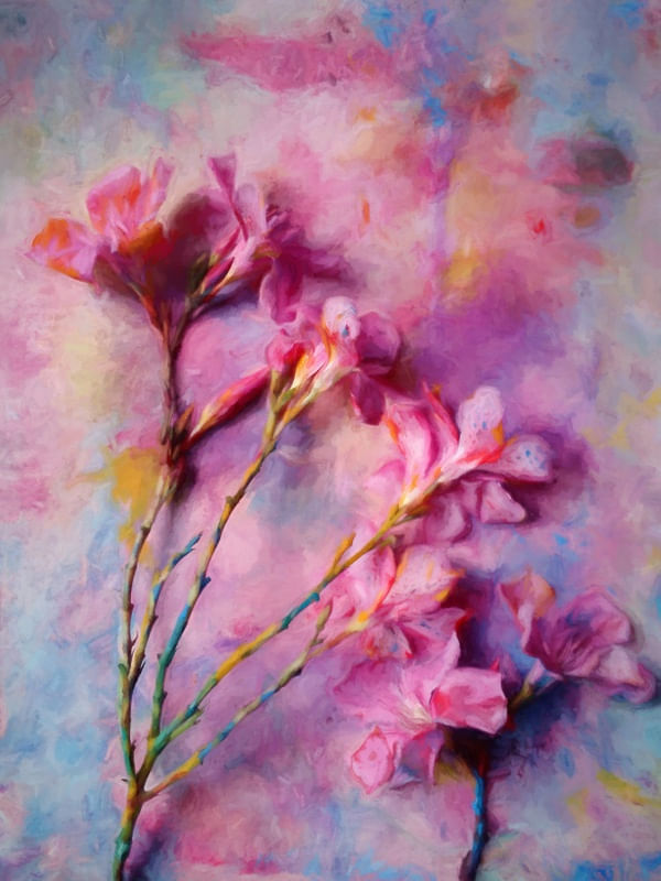 FLORAL 40