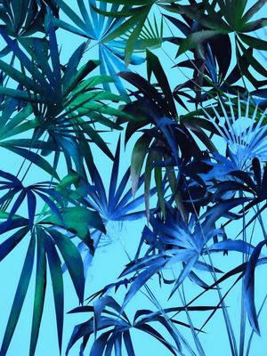 FOLHAGEM TROPICAL 15