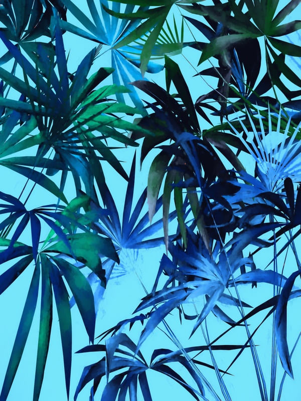 FOLHAGEM TROPICAL 15