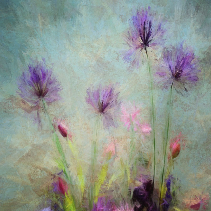 FLORES DO CAMPO 6