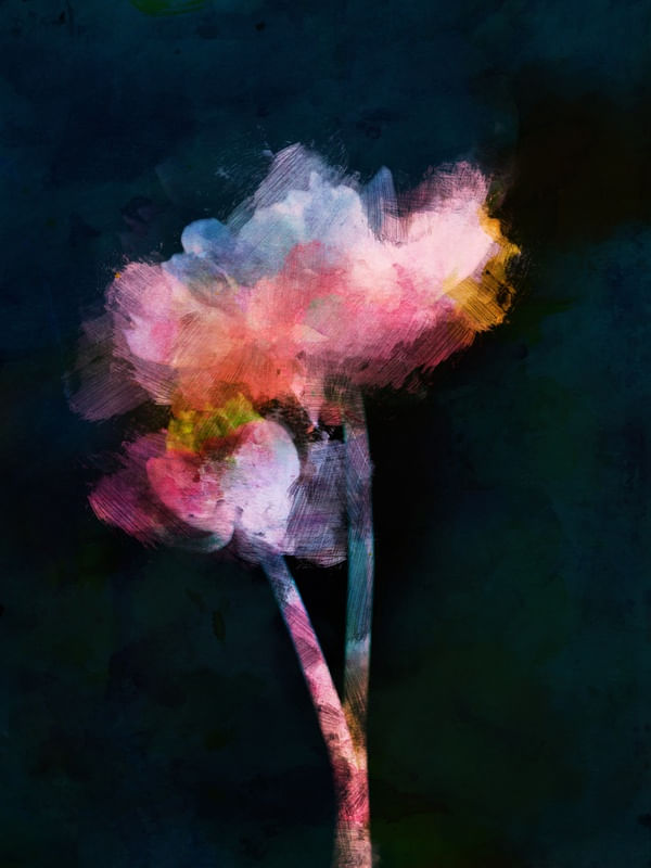 FLORES EM FUNDO ESCURO