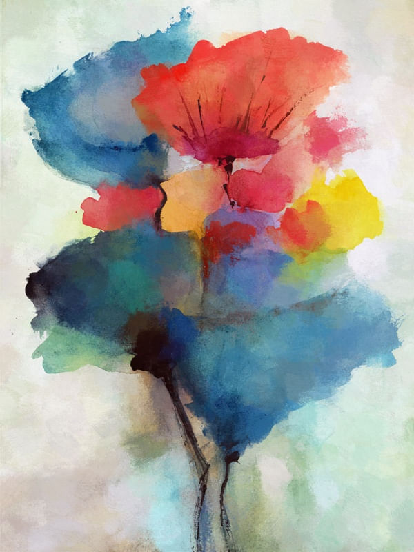 TULIPAS COLORIDAS 2
