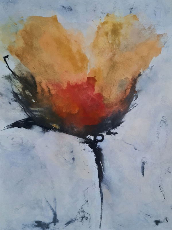 TULIPA 3