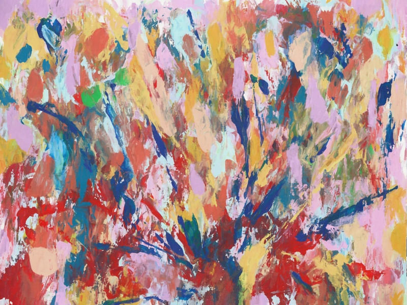 EXPLOSÃO DE CORES 4