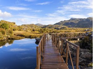 PONTE ABRIGO REBOUÇAS - PARQUE NACIONAL DO ITATIAIA
