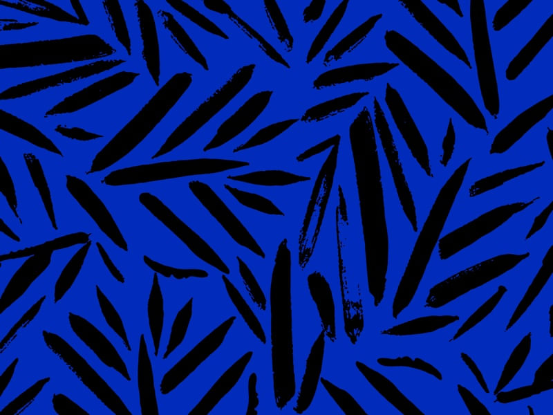 ESTILO REFINADO XXIV
