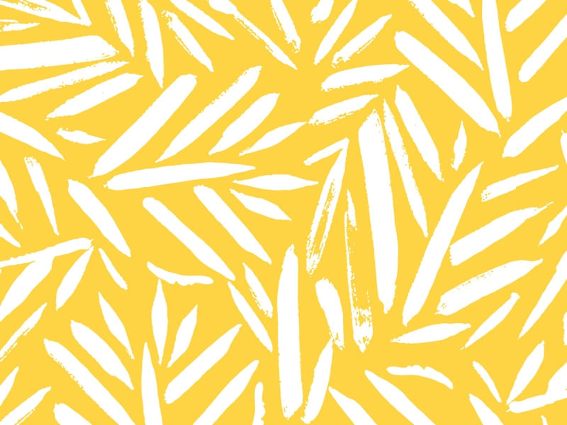 ESTILO REFINADO XXVII