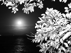 URCA MOON
