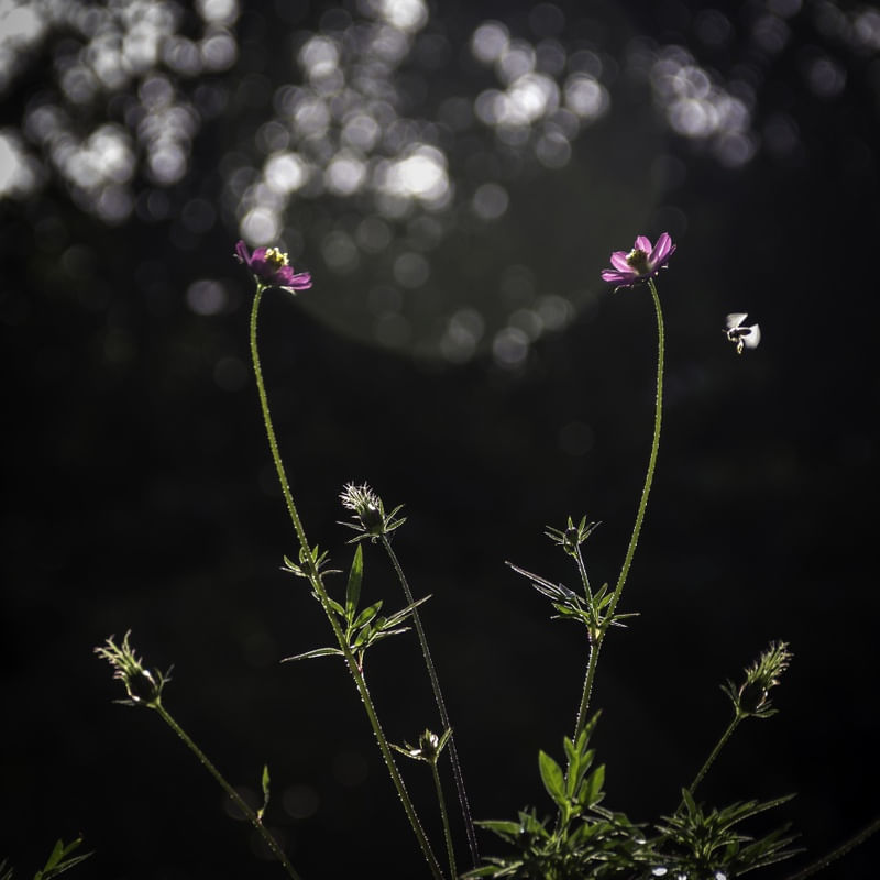 PLANOS DE LUZ