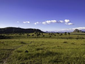 NOS JARDINS DE MAYTREA