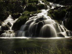 SEDAS DA NATUREZA