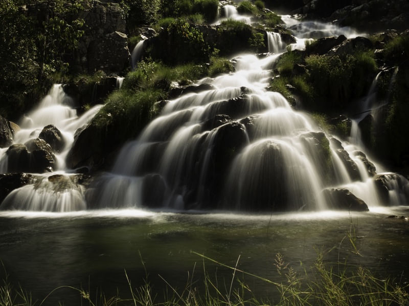 SEDAS DA NATUREZA