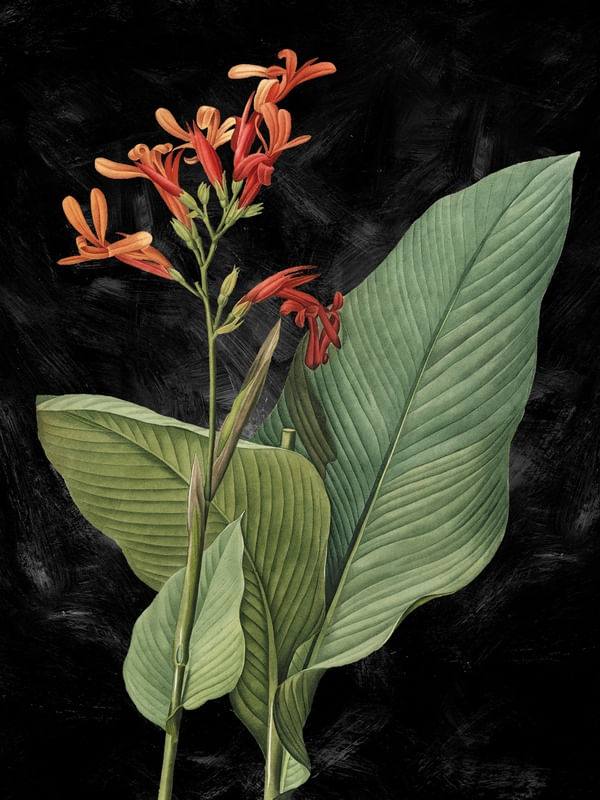 VINTAGE FLOWER 2
