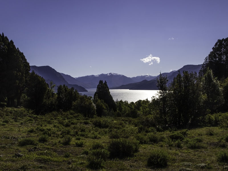 MIRANTE BANDURRÍAS