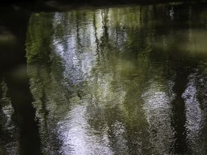 ÁGUAS: 4. INQUIETUDE