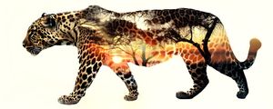 DUPLA EXPOSICAO LEOPARD IN SUNSET BY AI