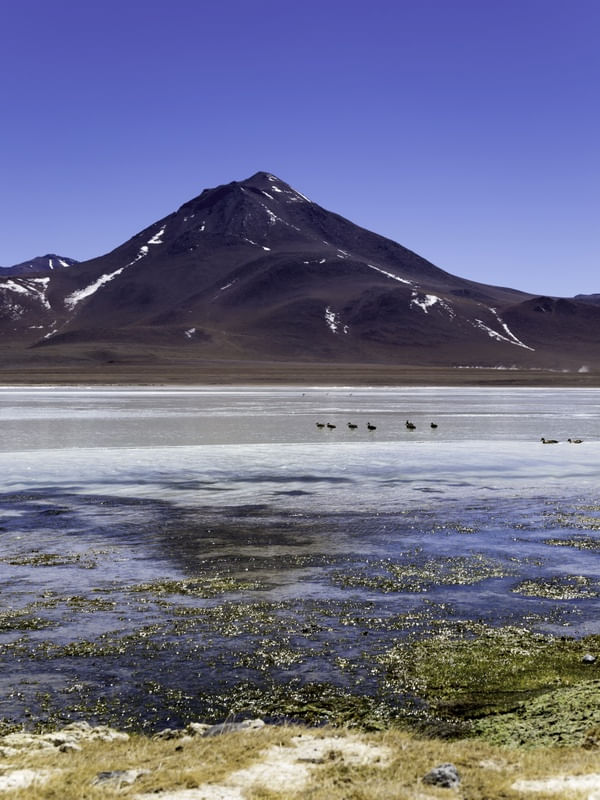 EXPLORANDO ALVAS ÁGUAS