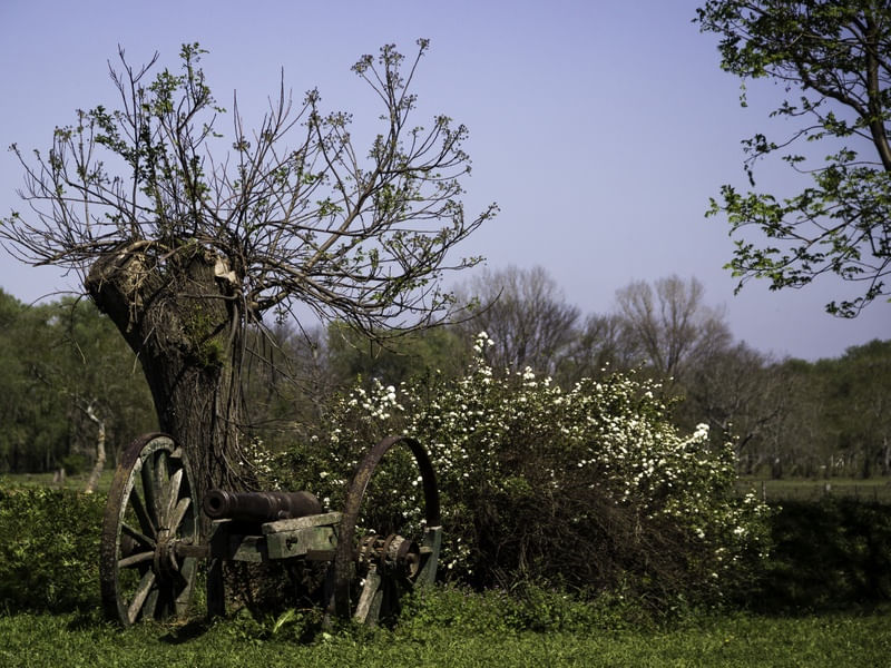 EM DEFESA DA NATUREZA