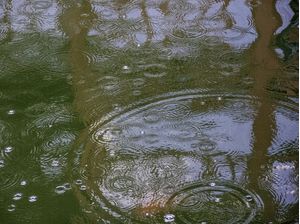 PINCELADAS DE CHUVA