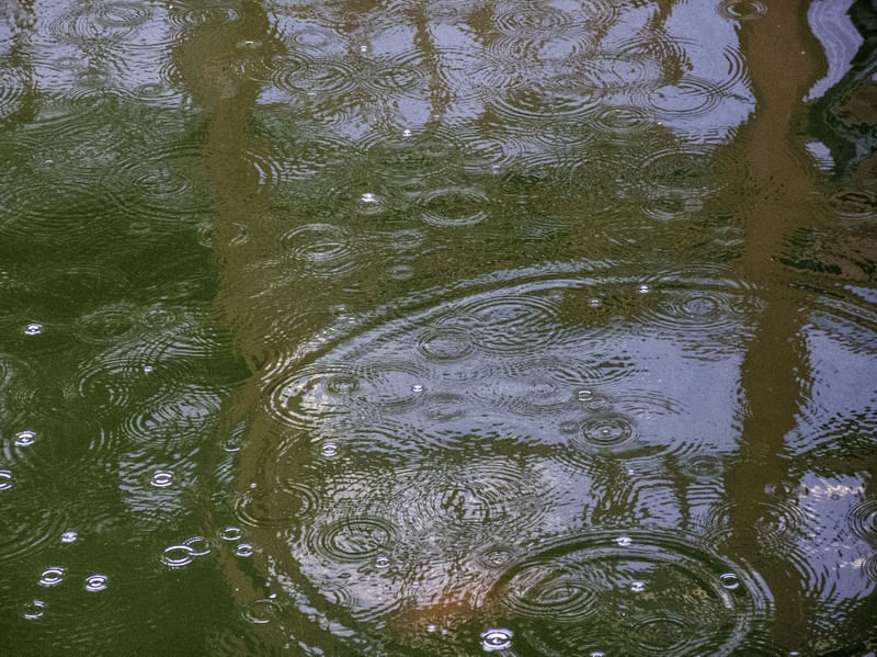 PINCELADAS DE CHUVA