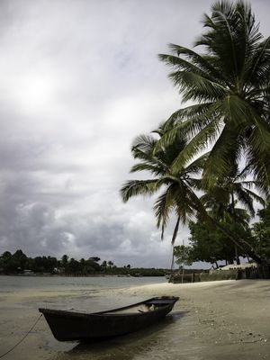 ESPERANDO A MARÉ