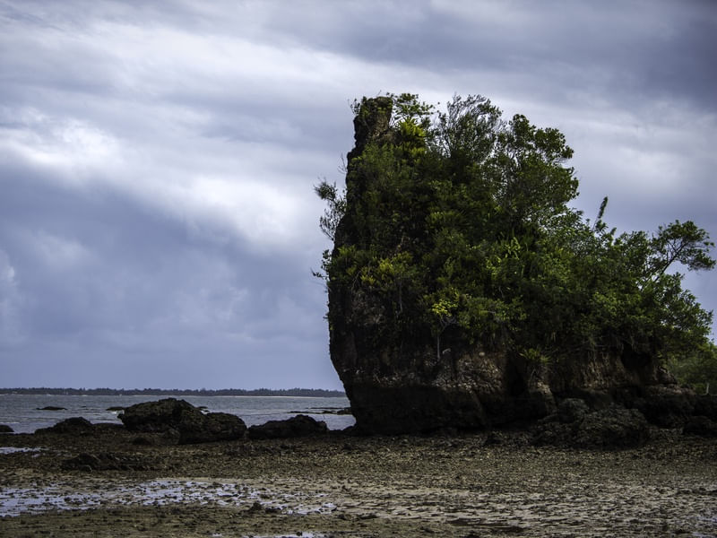 NA ILHA DO TESOURO