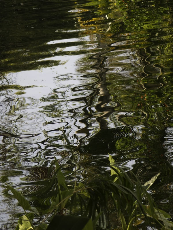 A NATUREZA IMITA A ARTE
