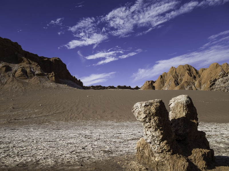CRIATURAS DE SAL E AREIA