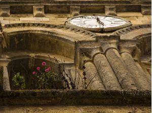 A HORA DAS FLORES