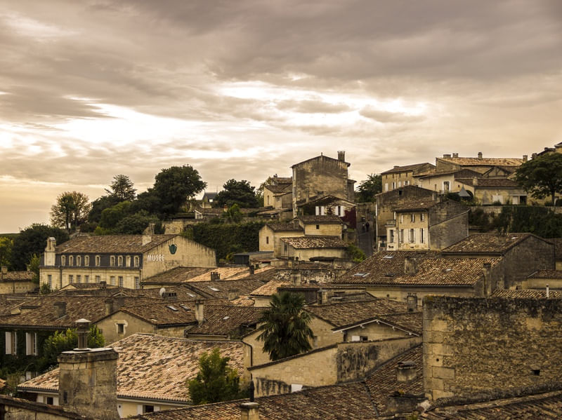 DEPOIS DA CHUVA EM SAINT EMILION