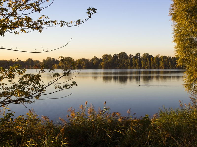 QUIETUDE REFLETIDA