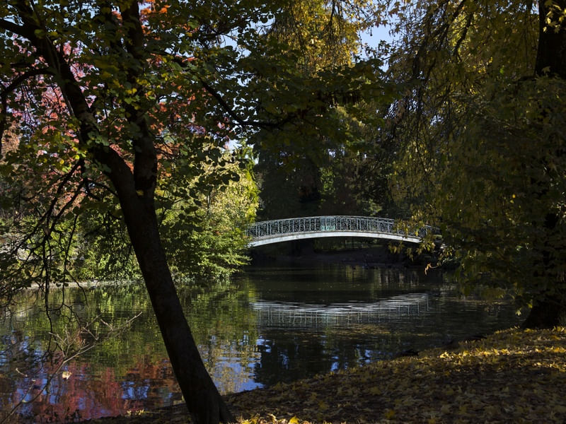 PONTE CROMÁTICA