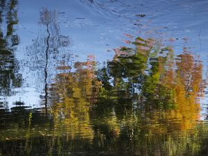 AQUARELA OUTONAL
