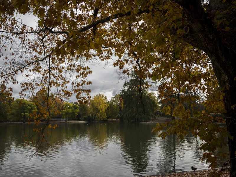 OUTONO, A SEGUNDA PRIMAVERA