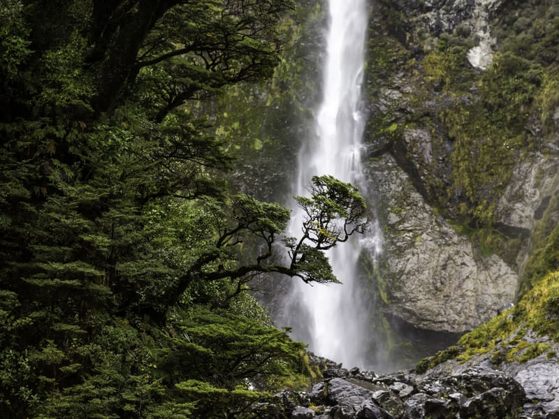 DEVILS PUNCHBOWL