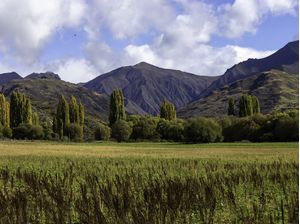 UMA PAISAGEM OUTONAL