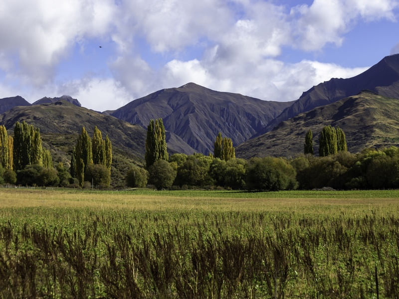 UMA PAISAGEM OUTONAL