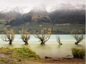 AS ÁRVORES DE GLENORCHY