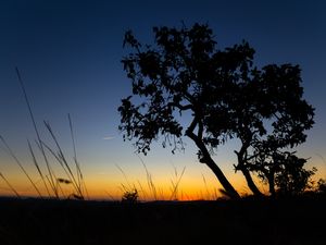 CREPÚSCULO NA SERRA