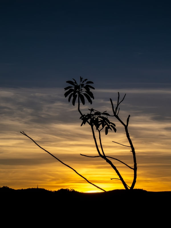 NASCER DO SOL NO CERRADO