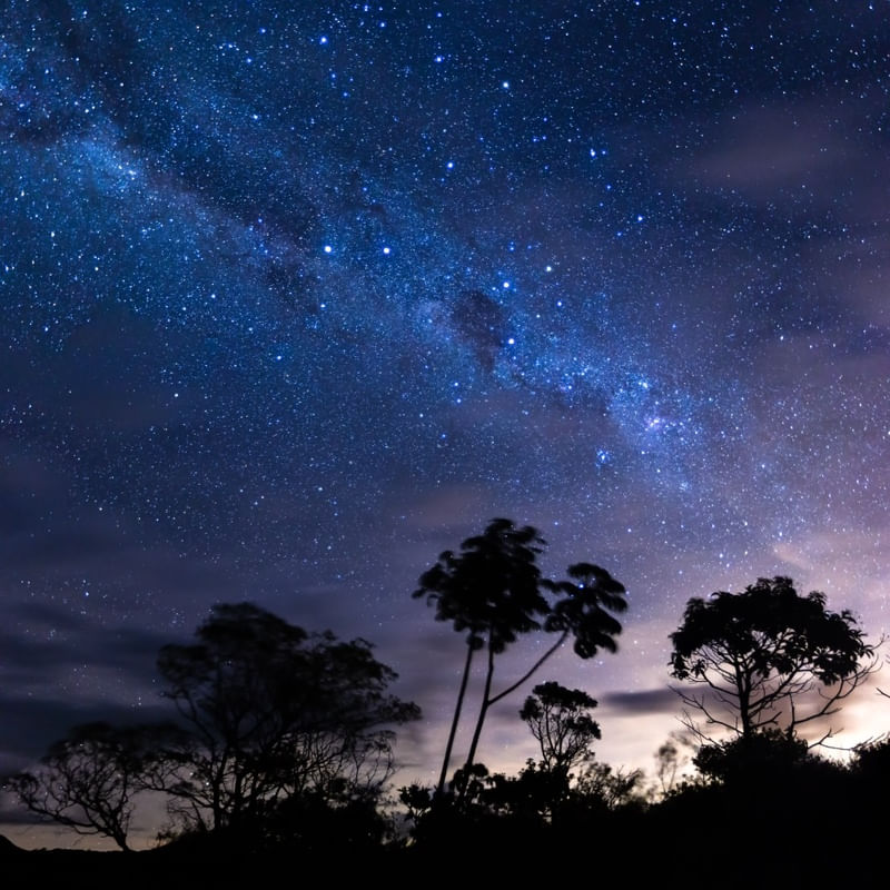 UMA NOITE DE ESTRELAS