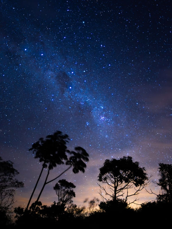 NOITE DE CAÇA ÀS ESTRELAS