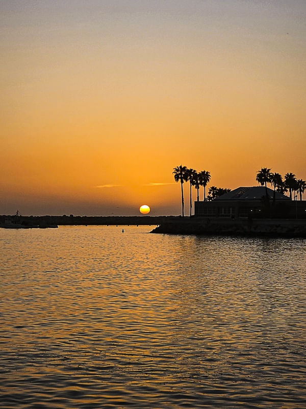 CALIFORNIAN SUNSET - RETRATO