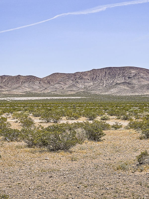 COLEÇÃO DESERTO - MOJAVE III