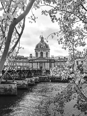 PONT DES ARTS - BLACK AND WHITE