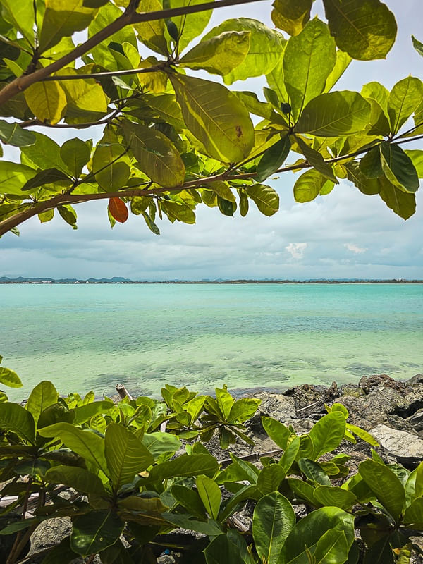 PORTO RICO EM TONS DE VERDE