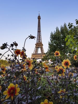 LE PRINTEMPS À PARIS