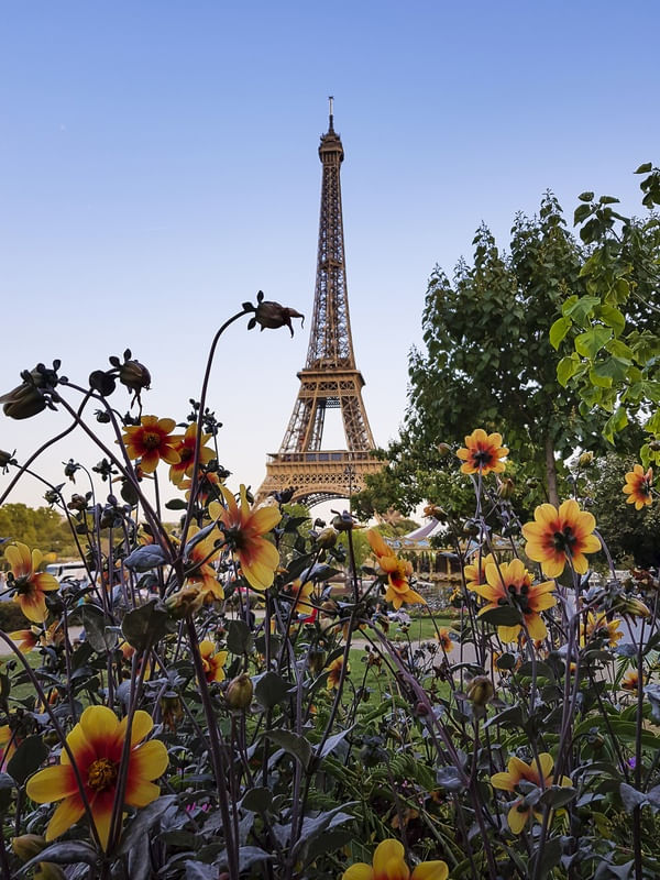 LE PRINTEMPS À PARIS