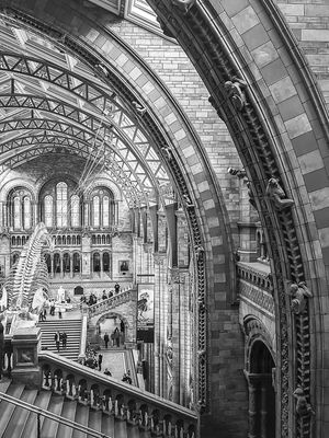 LONDONS NATURAL HISTORY MUSEUM - BLACK AND WHITE